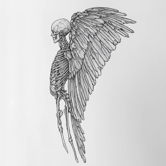 A haunting series of black-and-white illustrations depicting angelic figures caught between divinity and decay. These ethereal beings, with skeletal forms and tattered wings, evoke themes of transcendence, fragility, and the eternal struggle between light and darkness.