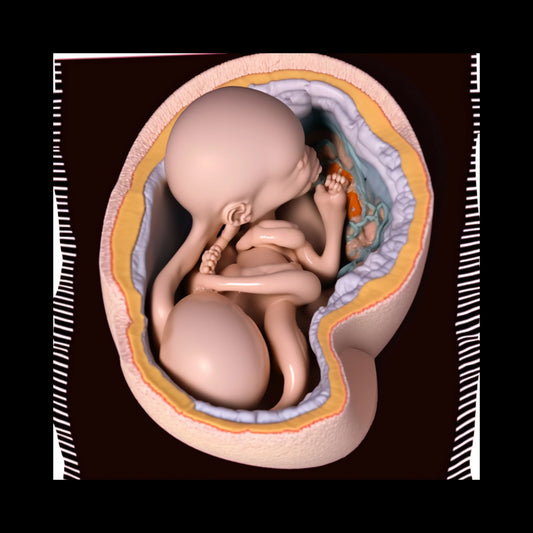 "Fetus" is an AI-generated exploration of Kurt Cobain’s art, depicting surreal anatomical forms in the womb. These images merge organic and abstract elements, reflecting themes of birth, vulnerability, and the grotesque. Inspired by Cobain’s fascination with the human body and existential themes, this series reinterprets his raw aesthetic through digital means, evoking a sense of both creation and decay.